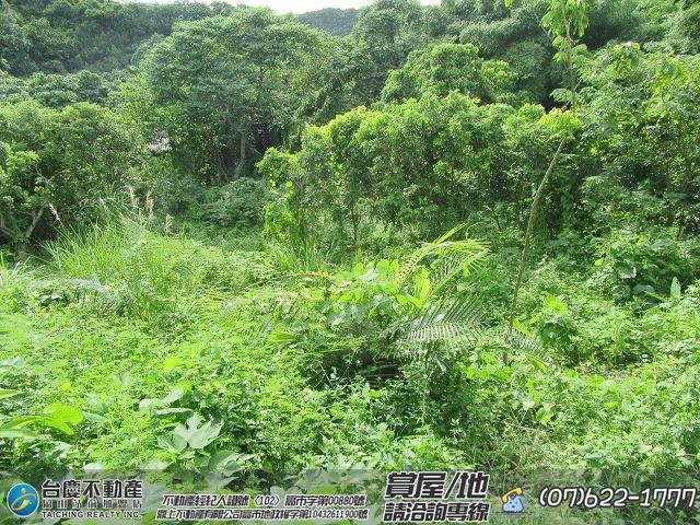 高雄內門農地-10