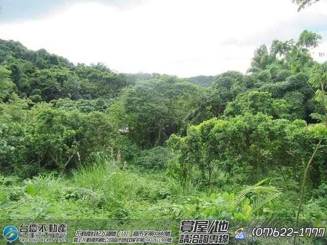 高雄內門農地-11