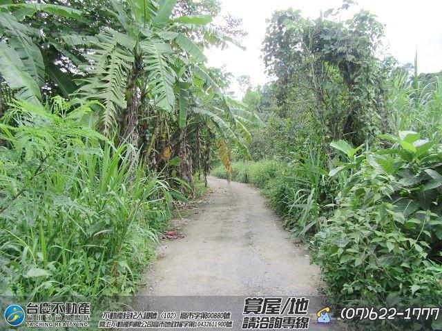 高雄內門農地-3