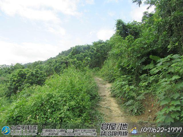 高雄內門農地-5