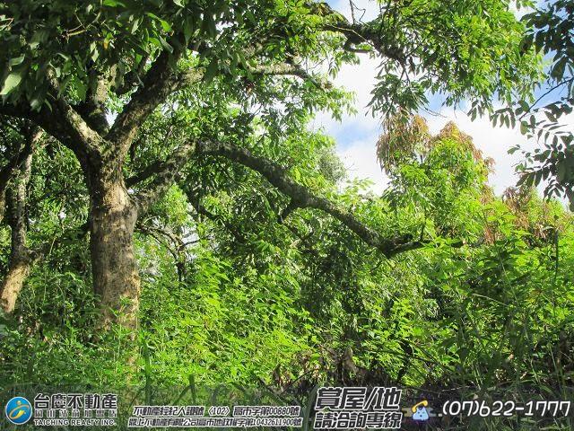 高雄內門農地-6