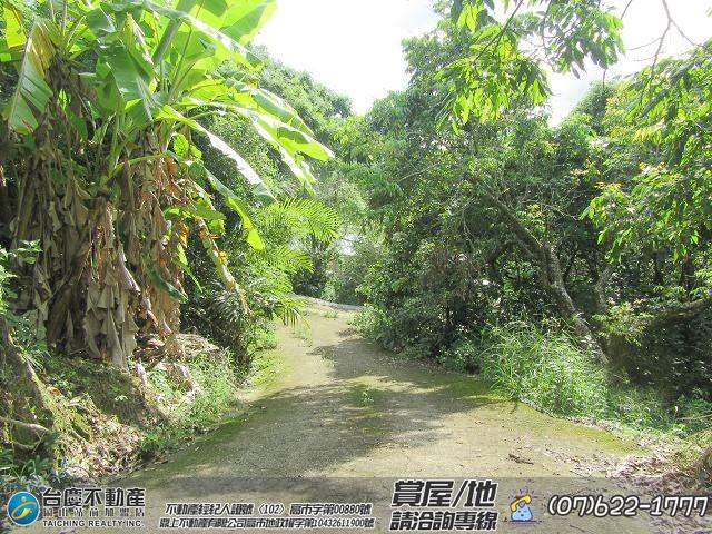 高雄內門農地-7