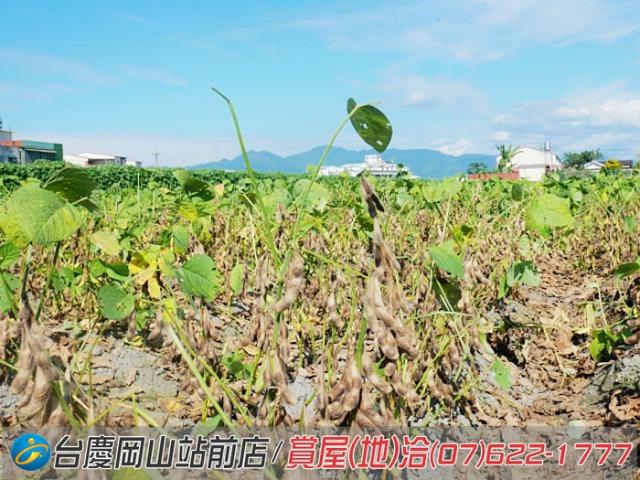 高雄美濃農地-9