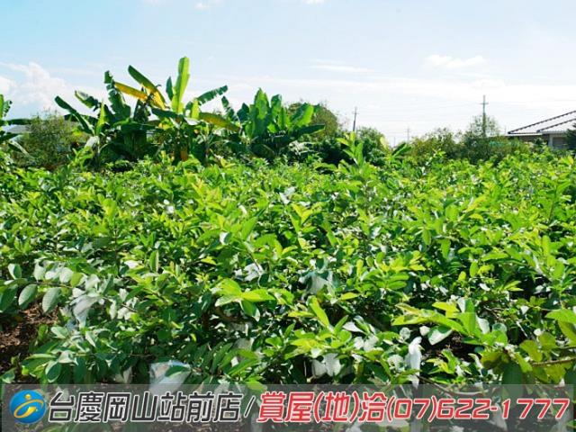 高雄美濃農地-11