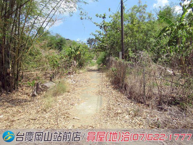 燕巢農地-9