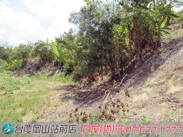 燕巢農地-10