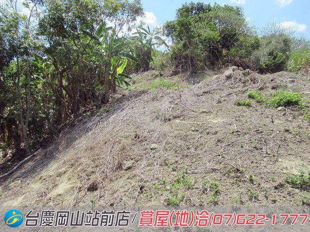 燕巢農地-11