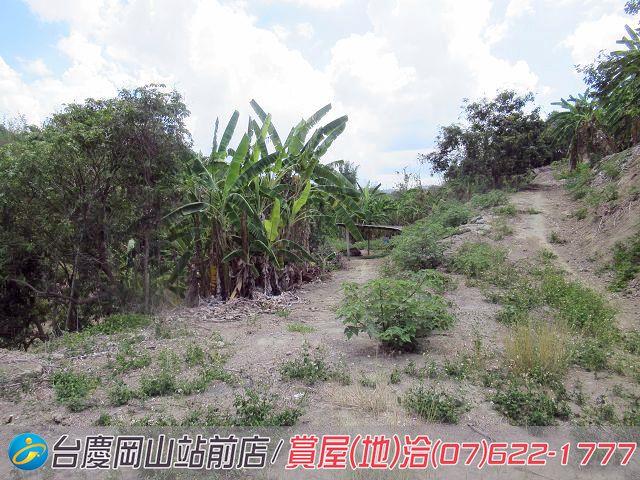 燕巢農地-13