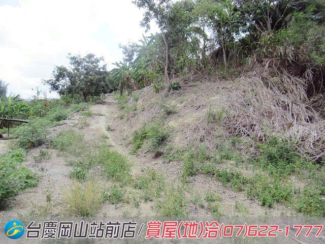 燕巢農地-14