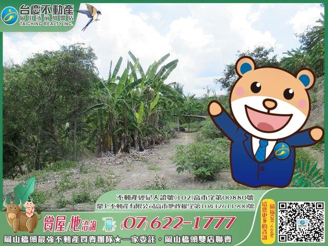 燕巢農地-0
