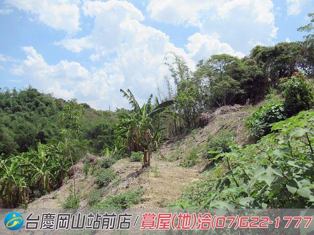 燕巢農地-3