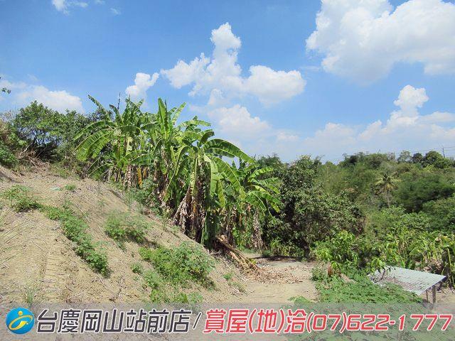 燕巢農地-4