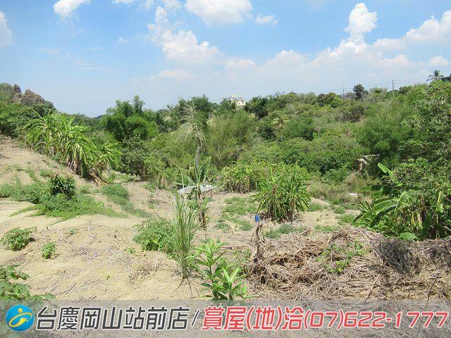 燕巢農地-6