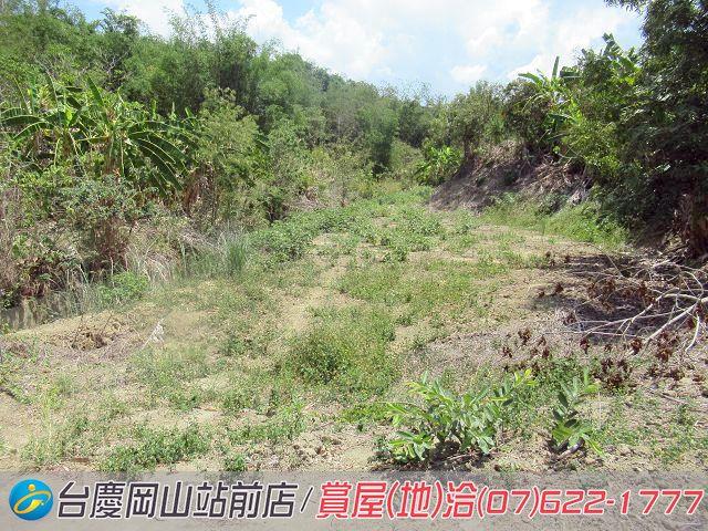 燕巢農地-7
