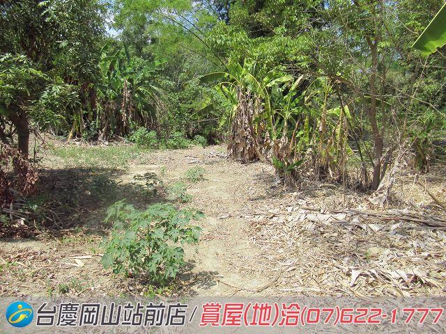 燕巢農地-8