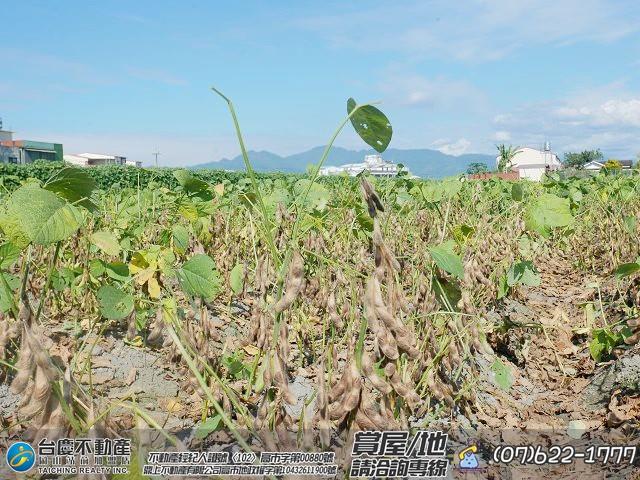 高雄美濃農地-9