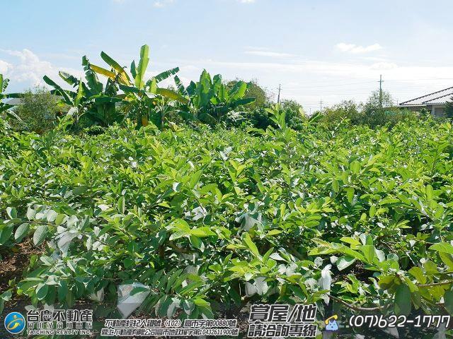 高雄美濃農地-1