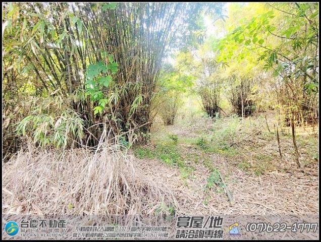 田寮農地-3