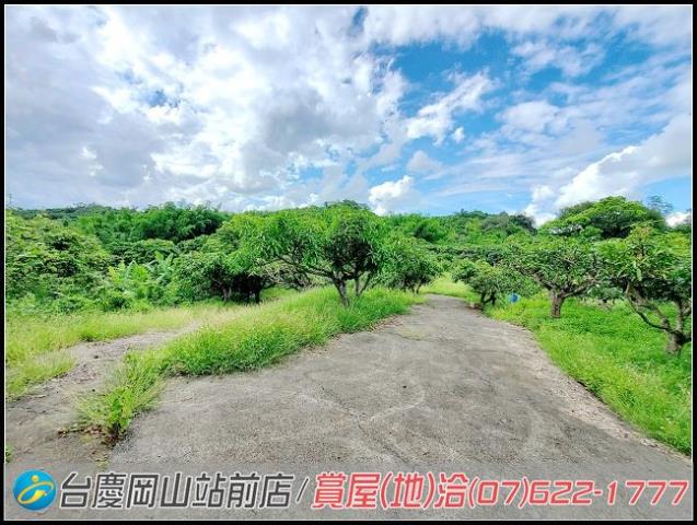 田寮農地-10