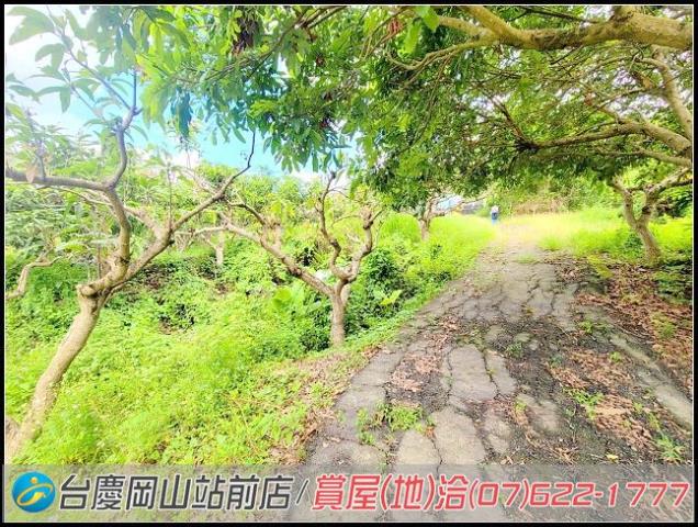 田寮農地-13