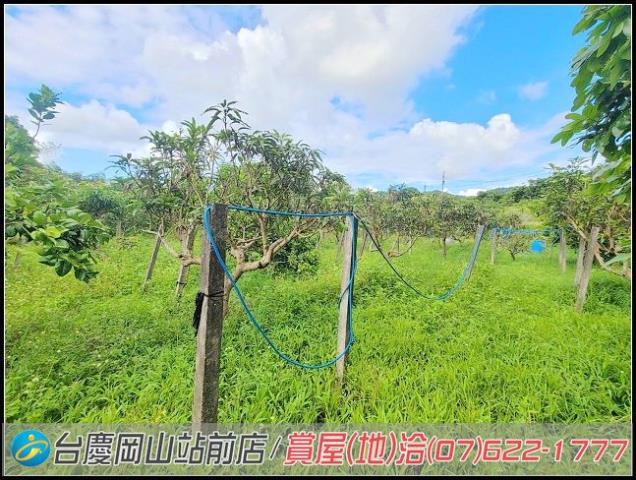 田寮農地-14