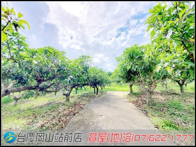田寮農地-5