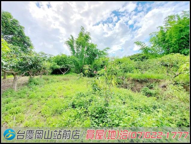 田寮農地-6