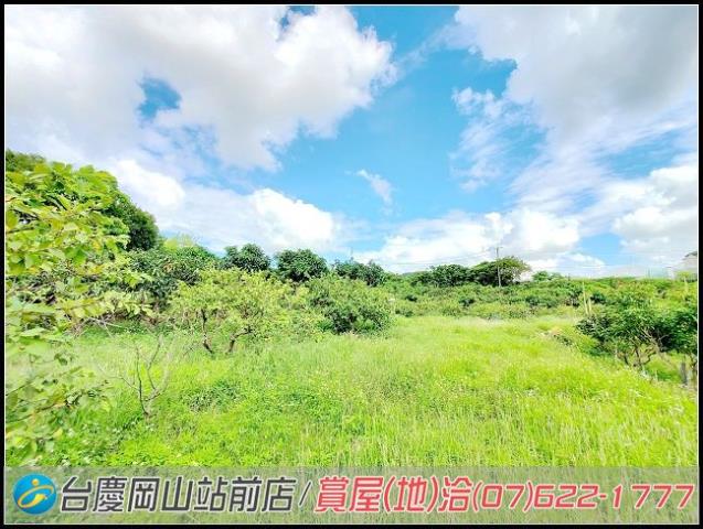田寮農地-7