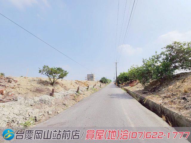 阿蓮農地-9