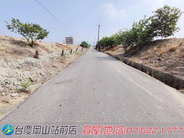 阿蓮農地-12