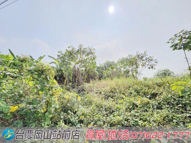 阿蓮農地-14