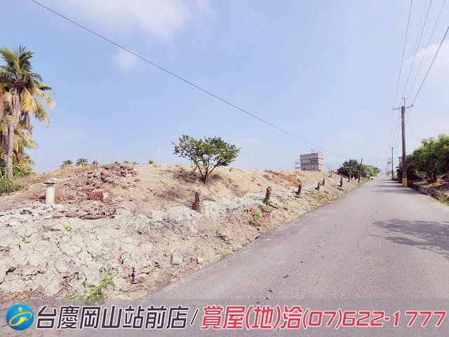 阿蓮農地-5