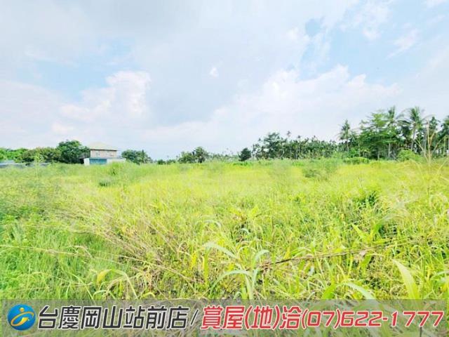 旗山農地-9