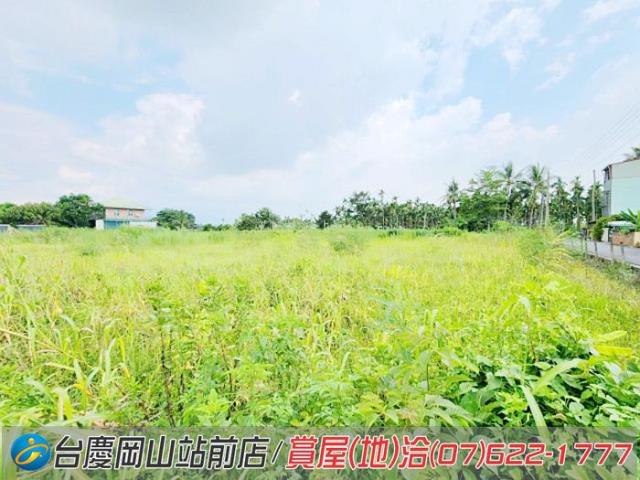 旗山農地-6