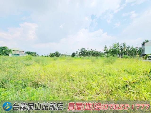 旗山農地-7