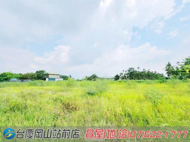 旗山農地-8