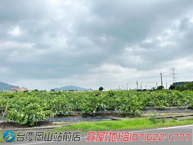 高雄阿蓮農地-13