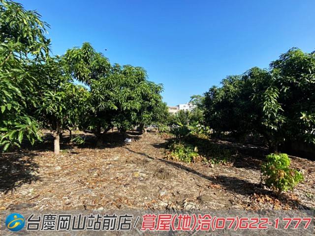 阿蓮建地-8
