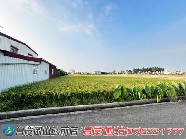 高雄橋頭農地-6