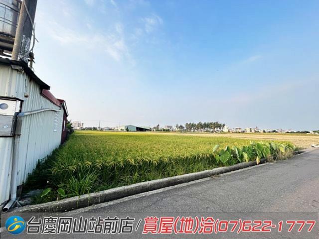 高雄橋頭農地-7