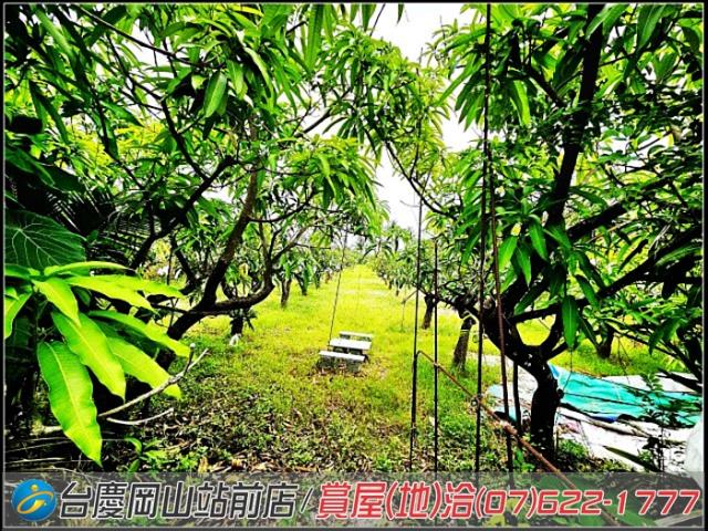 岡山農地-5