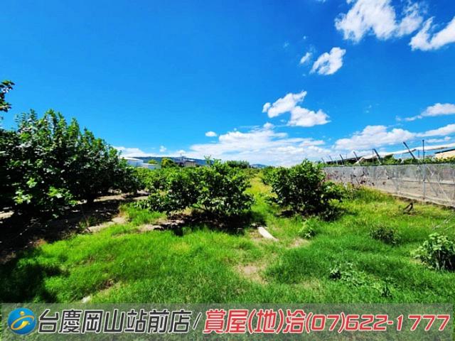 高雄農地-4