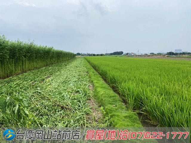 高雄橋頭農地-14