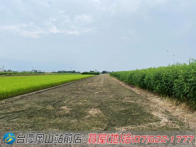 高雄橋頭農地-2