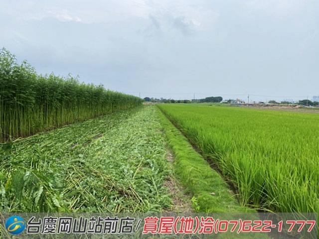 高雄橋頭農地-3