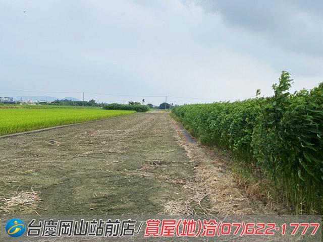 高雄橋頭農地-8
