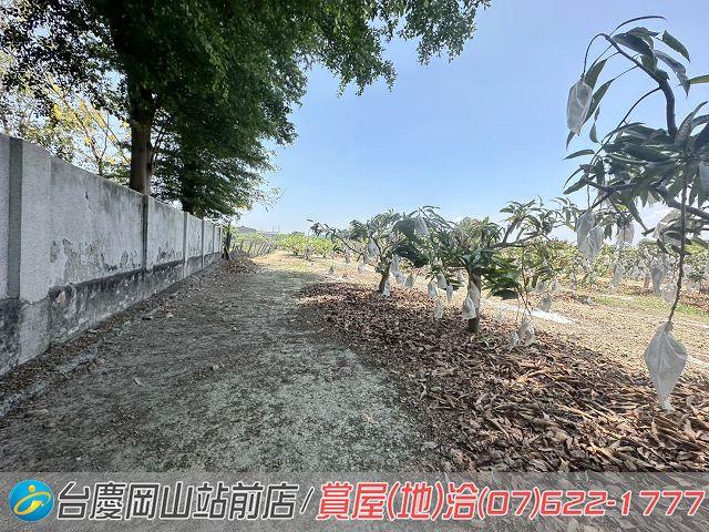 高雄農地-10