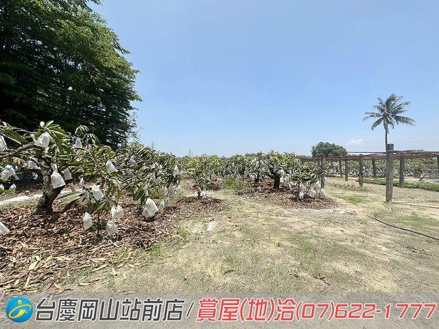 高雄農地-11