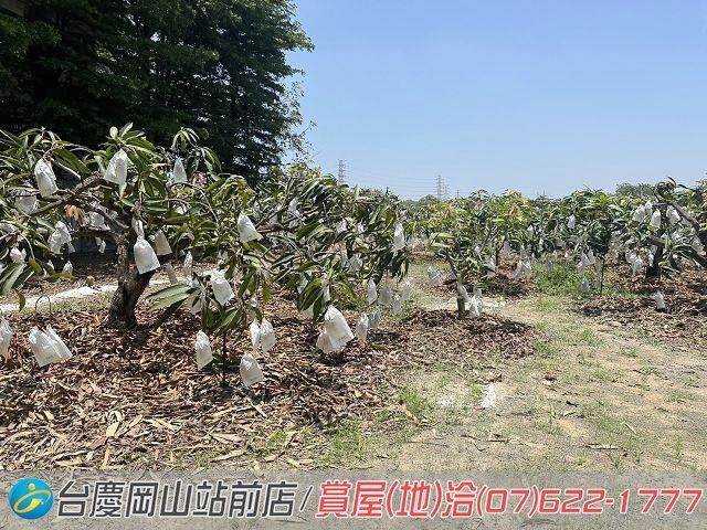 高雄農地-12