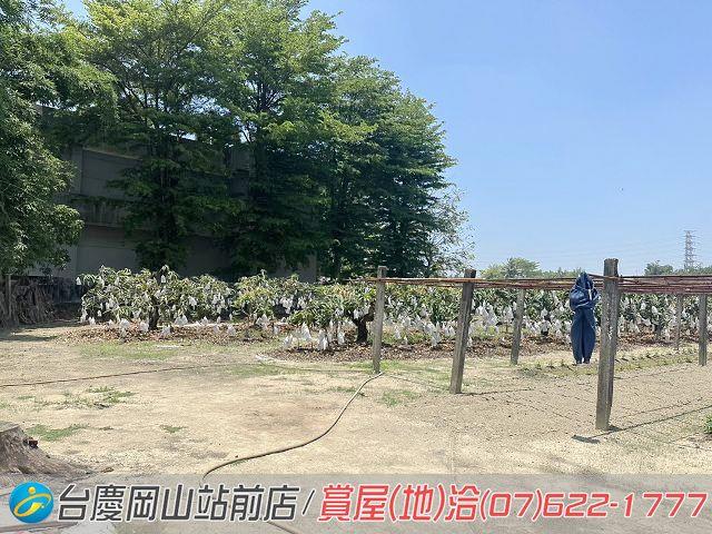 高雄農地-13